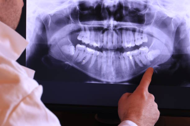 Best Emergency X-Rays and Diagnostics in Laconia, NH