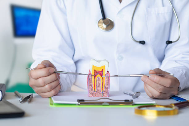 Best Emergency Dental Care for Sports Injuries in Laconia, NH